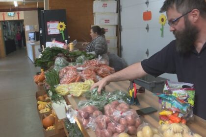 new-brunswick’s-drought-conditions-hit-home-at-farm-markets