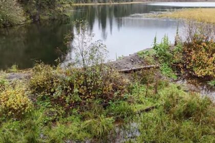 evacuation-alert-for-rural-properties-near-kamloops,-bc.,-rescinded-as-crews-clear-debris-from-man-made-dam