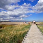 cape-breton-university-launches-beach-bioblitz