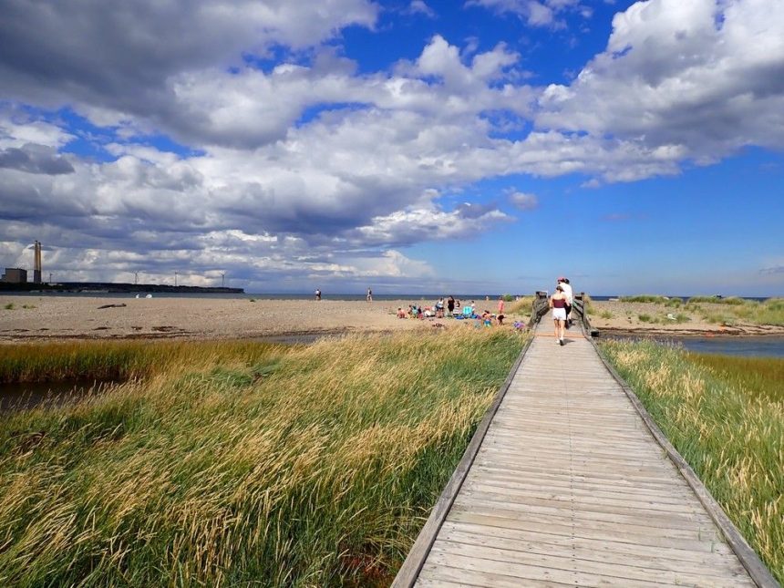 cape-breton-university-launches-beach-bioblitz