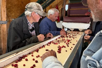 cranberry-farmer-hoping-someone-else-will-carry-on-the-tradition-he-started-decades-ago