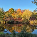 fall-colours:-enjoy-these-photos-from-around-new-brunswick