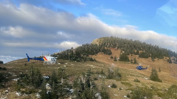 2-hikers-taken-to-hospital-after-grizzly-attack-near-prince-george,-bc.