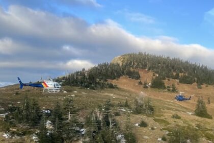 2-hikers-taken-to-hospital-after-grizzly-attack-northeast-of-prince-george,-bc.