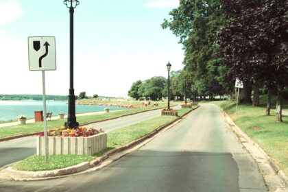charlottetown-to-plant-600-trees-in-two-parks-to-strengthen-urban-forest