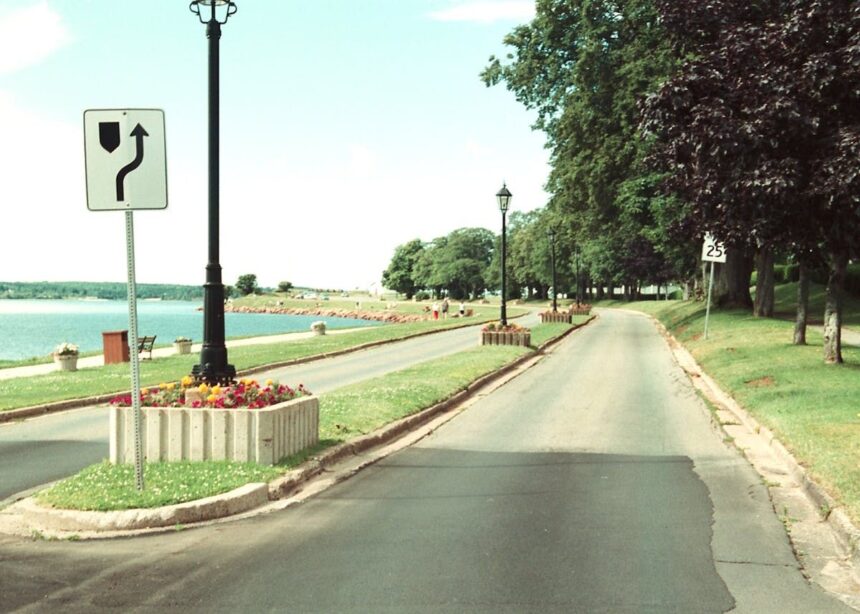 charlottetown-to-plant-600-trees-in-two-parks-to-strengthen-urban-forest