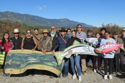 salmon-released-as-fry-in-bc.-return-up-columbia-river