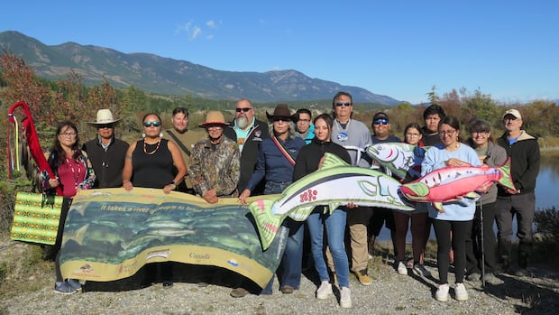 salmon-released-as-fry-in-bc.-return-up-columbia-river
