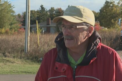 it-doesnt-fit:-stratford-residents-oppose-stacked-townhouse-project-on-swallow-drive