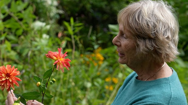 elderly-patients-living-in-remote-parts-of-bc.-forced-to-travel-to-save-their-sight-or-pay