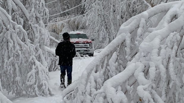 thousands-still-without-power-after-monday’s-snowstorm-in-northern-manitoba