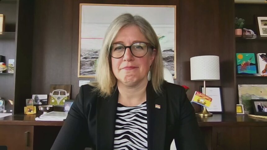 higher-us-lumber-tariffs-pose-‘real-challenge’-to-economy:-nb.-premier-|-power-&-politics