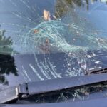 ‘scared-the-heck-out-of-me’:-falling-fish-smashes-sask.-woman’s-windshield