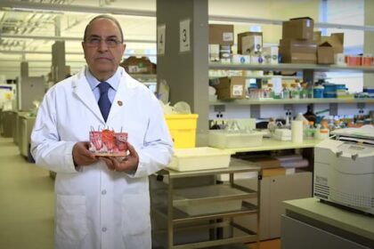 investigation-found-ubc-researcher-fabricated-data,-gave-spinal-patients-‘false-hope.’-the-public-was-not-told