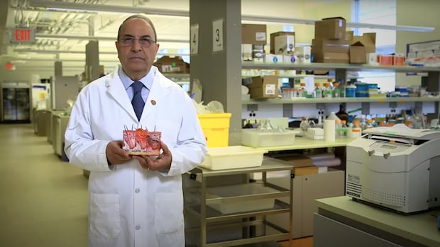investigation-found-ubc-researcher-fabricated-data,-gave-spinal-patients-‘false-hope.’-the-public-was-not-told