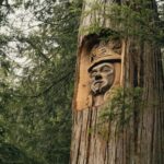 its-not-even-close-to-equitable:-bc.-first-nations-push-to-reshape-forestry