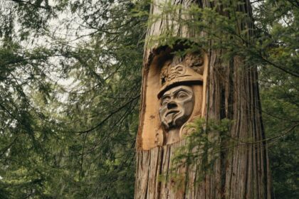 its-not-even-close-to-equitable:-bc.-first-nations-push-to-reshape-forestry