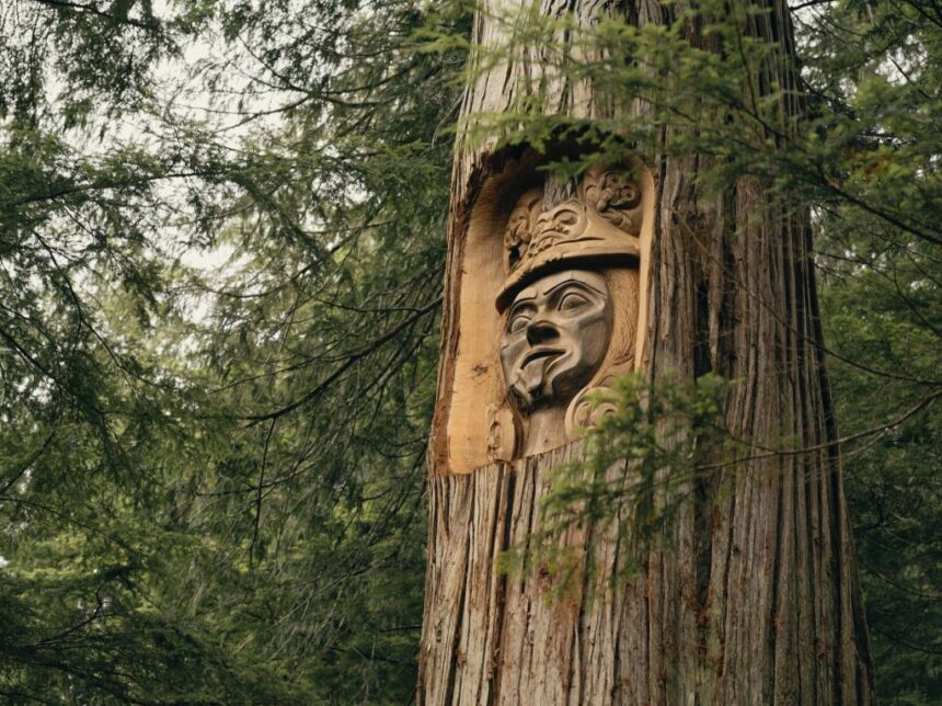 its-not-even-close-to-equitable:-bc.-first-nations-push-to-reshape-forestry