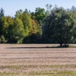 councillors-vote-against-bid-to-sink-tewin-development