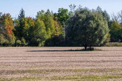 councillors-vote-against-bid-to-sink-tewin-development