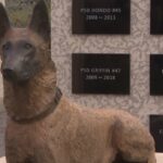 new-memorial-garden-pays-tribute-to-‘loyalty,-bravery-and-sacrifice’-of-winnipeg’s-police-dogs