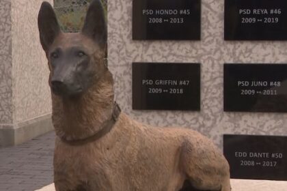 new-memorial-garden-pays-tribute-to-‘loyalty,-bravery-and-sacrifice’-of-winnipeg’s-police-dogs