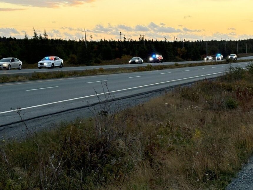 police-operation-impact-yields-driving-suspensions,-vehicle-seizures-and-criminal-charges
