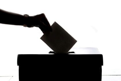pam-frampton:-watching-democracy-unfold-is-a-beautiful-thing