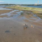 pilot-project-aims-to-fight-erosion-at-dominion-beach