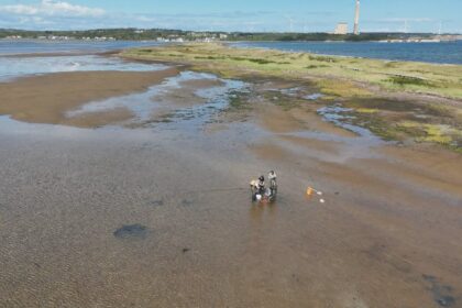 pilot-project-aims-to-fight-erosion-at-dominion-beach