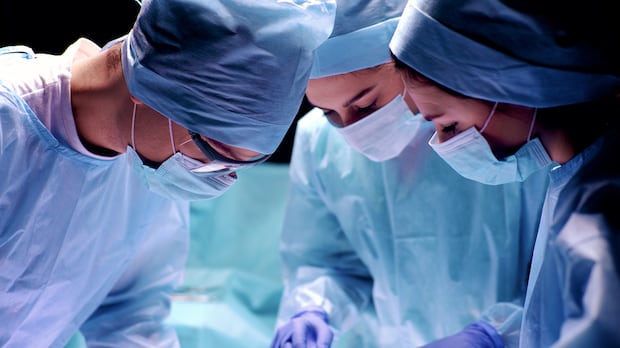 ‘our-student’s-first-patient’:-why-some-experts-say-working-with-cadavers-is-essential