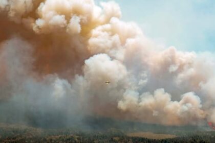 $25k-fine-will-not-undo-damage-of-massive-ns.-wildfire,-says-judge-as-man-sentenced