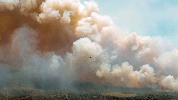 $25k-fine-will-not-undo-damage-of-massive-ns.-wildfire,-says-judge-as-man-sentenced