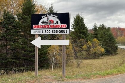ns.-rafting-company,-owner-charged-with-disturbing-humpback-whale