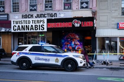 another-magic-mushroom-shop-burns-in-downtown-ottawa