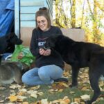 animal-rescue-group-improves-safety-on-james-smith-cree-nation