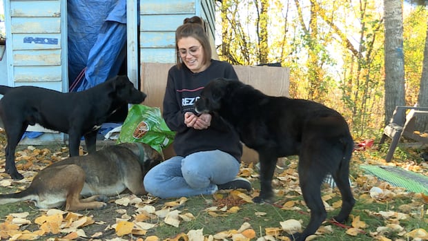 animal-rescue-group-improves-safety-on-james-smith-cree-nation