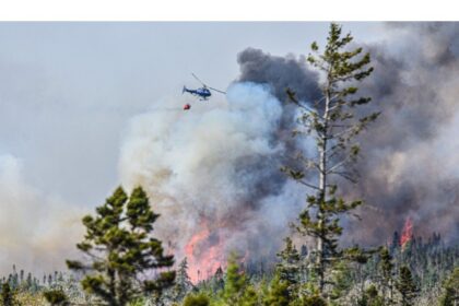 a-‘drunken-tire-fire’:-$25,000-fine-handed-down-in-barrington-lake-wildfire-sentencing