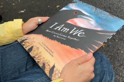 mysteries-of-crow-behaviour-brought-to-life-by-kingston-illustrator-in-new-book