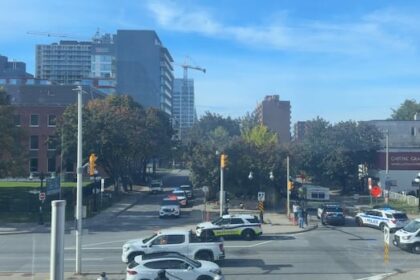 man-stabbed-on-king-edward-avenue-in-downtown-ottawa