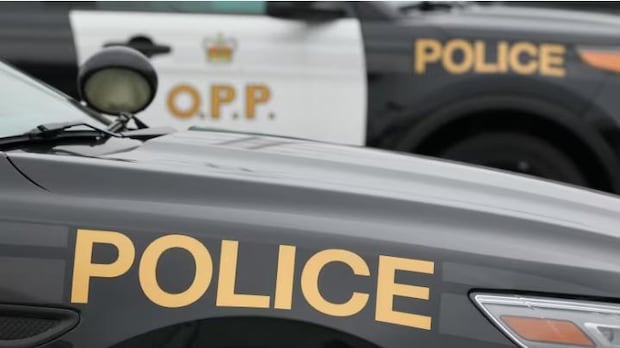 ottawa-man-killed-in-crash-east-of-brockville