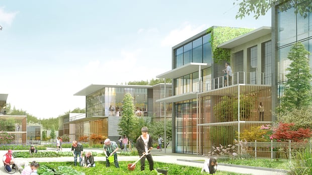 saskatoon-still-opposes-solar-community,-even-if-it’s-outside-city-limits