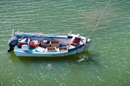 pei.-government-calls-on-ottawa-for-cash-support-as-oyster-diseases-impact-industry