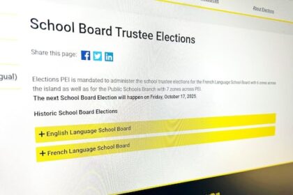 school-board-trustee-elections-see-only-about-1%-voter-turnout