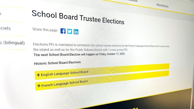 school-board-trustee-elections-see-only-about-1%-voter-turnout