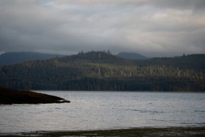 3-indigenous-led-marine-refuges-established-off-bc.’s-north-coast