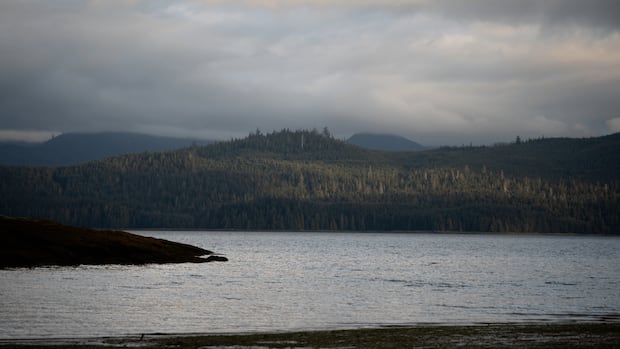 3-indigenous-led-marine-refuges-established-off-bc.’s-north-coast
