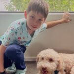 rcmp-launch-province-wide-billboard-campaign-to-find-missing-11-year-old-kai-pavlovic