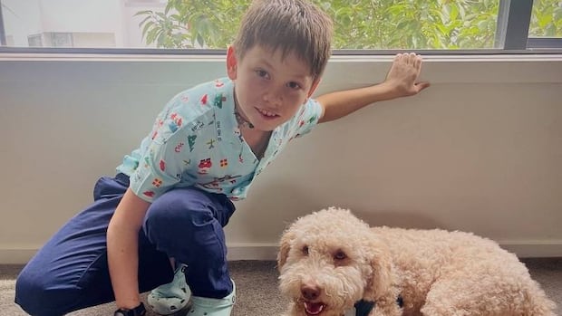 rcmp-launch-province-wide-billboard-campaign-to-find-missing-11-year-old-kai-pavlovic