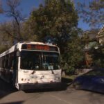 16-local-groups-endorse-city-planning-expert-letter-criticizing-winnipeg-transit-overhaul